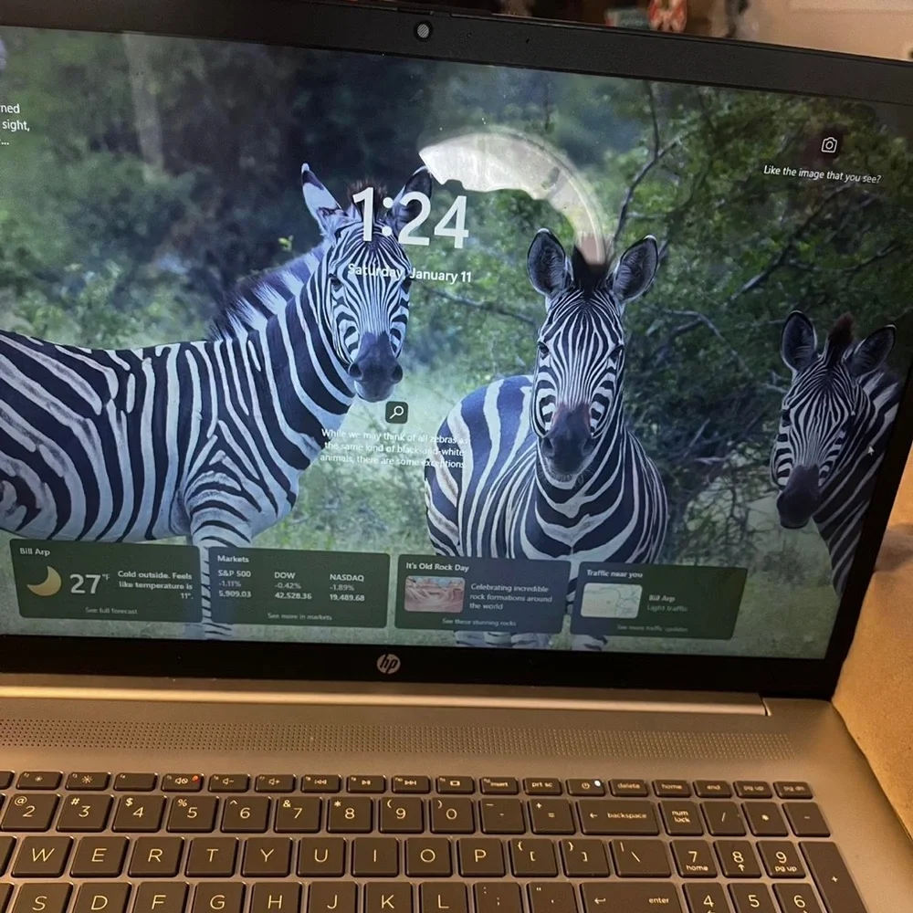 HP Silver and Black Laptop